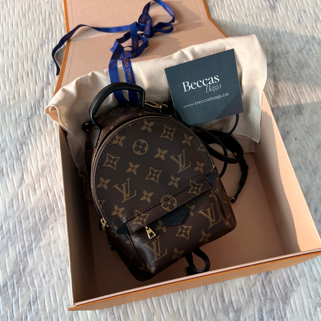 Louis Vuitton Vanity Pm Bag – Beccas Bags