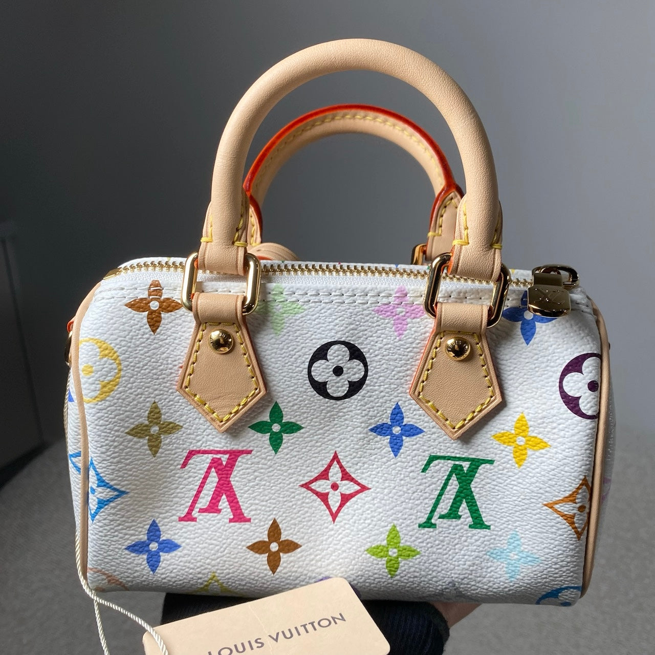 Pre-owned Louis Vuitton x Takashi Murakami Nano Speedy bag in