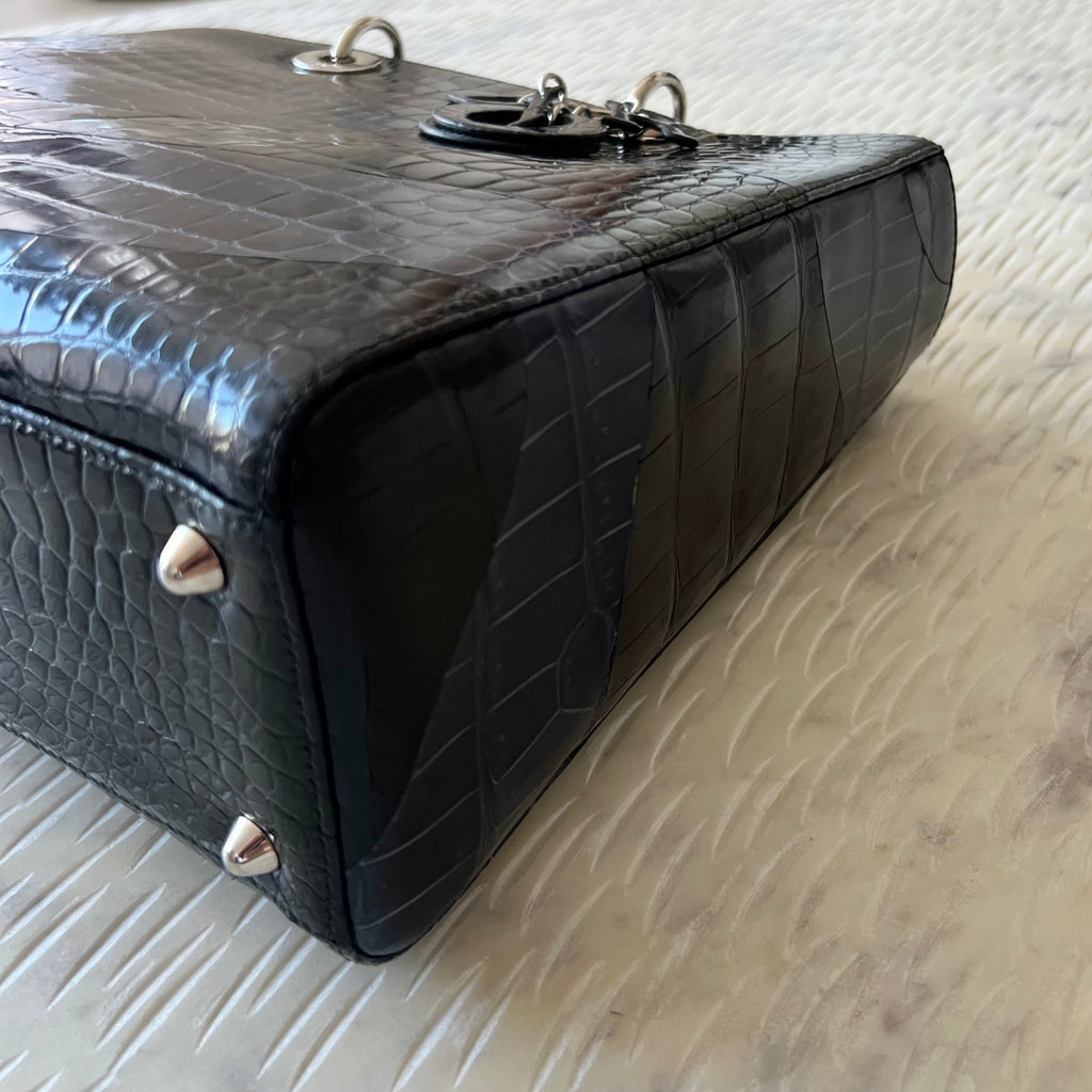 Dior 2025 crocodile bag