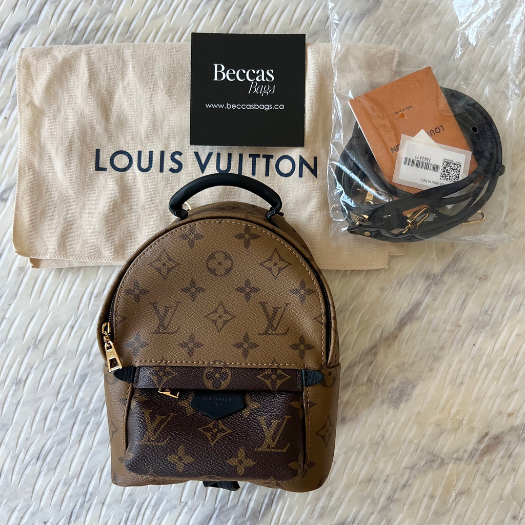 Louis Vuitton Palm Springs Backpack Mini M42411
