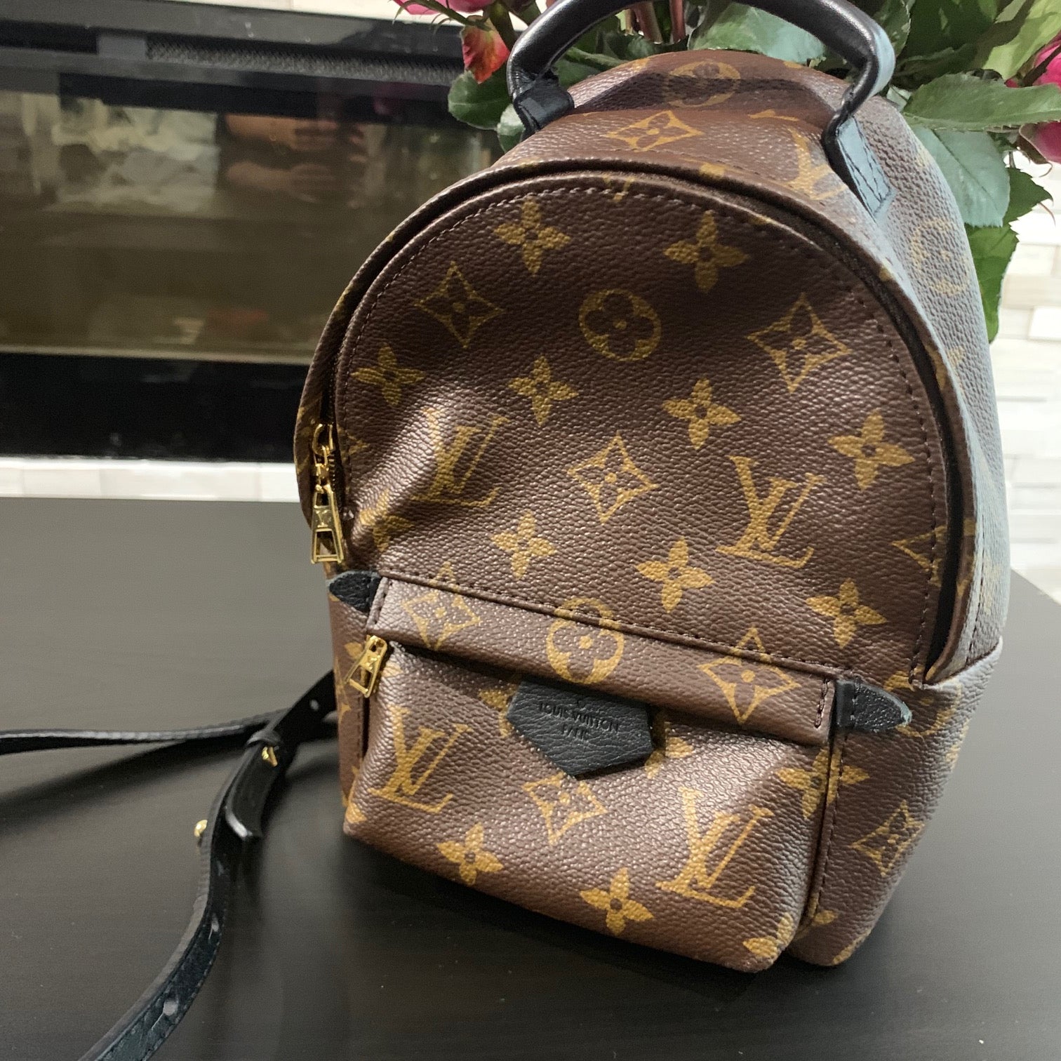 Louis Vuitton Monogram Canvas Ellipse Backpack  Labellov  Buy and Sell  Authentic Luxury