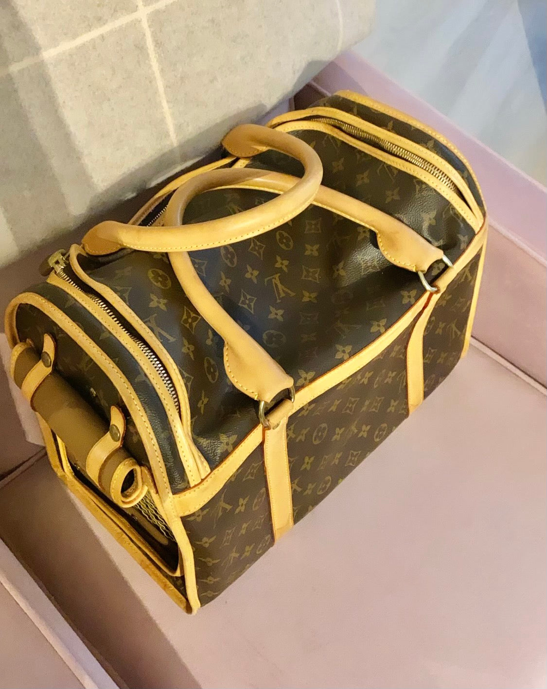 Louis Vuitton Dog Carrier bag