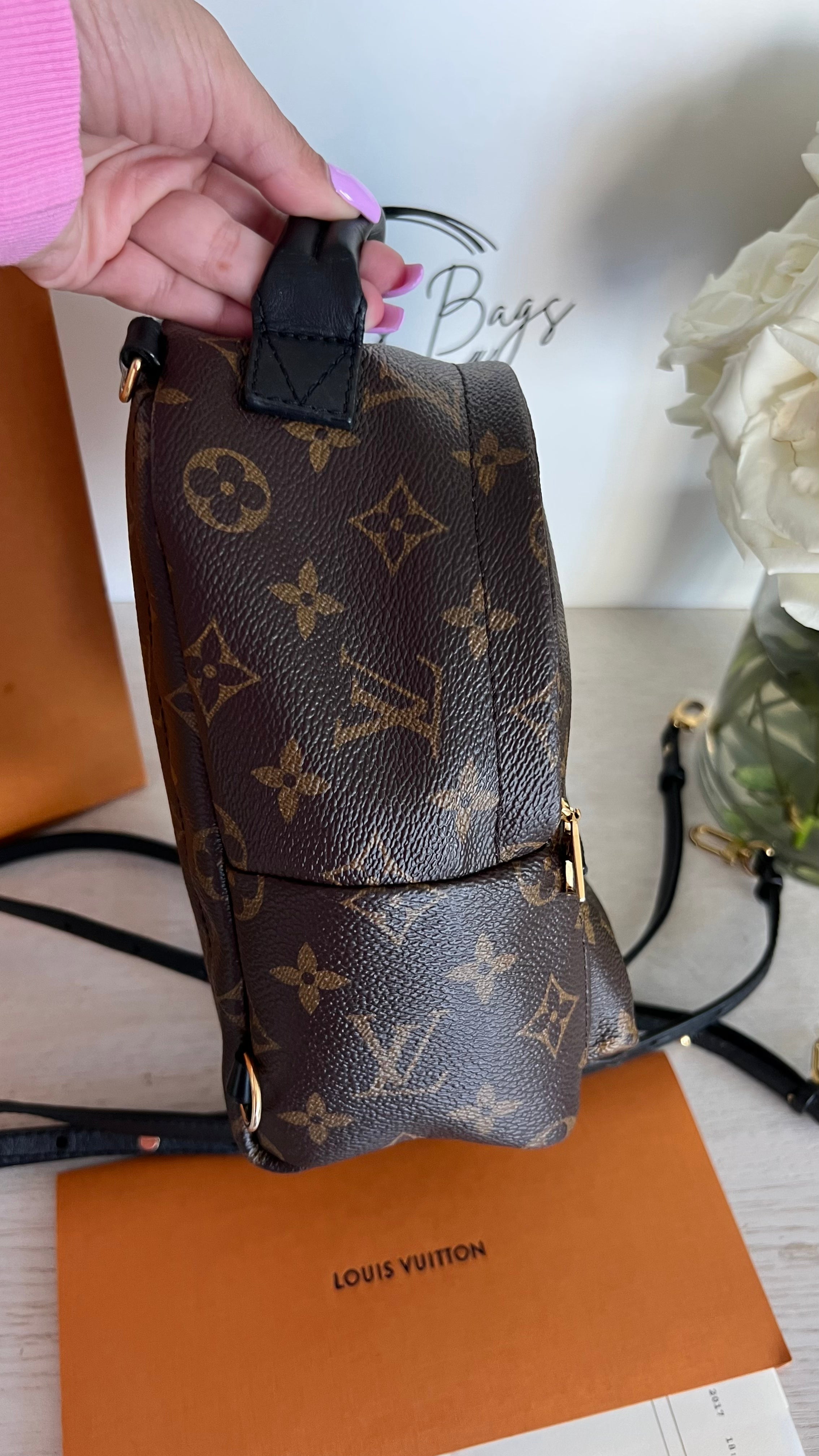 Louis Vuitton Palm Springs Mini - Monogram, Luxury, Bags & Wallets