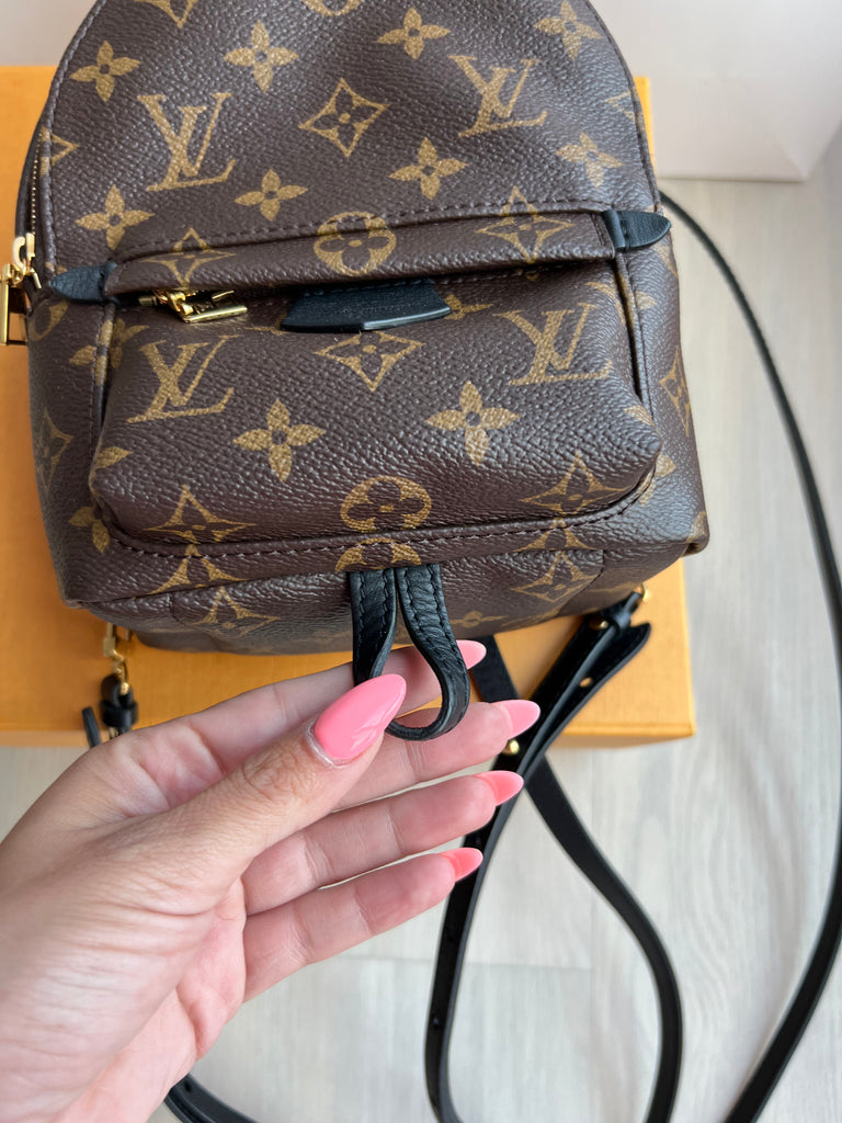 Louis Vuitton Palm Springs mini backpack – Beccas Bags