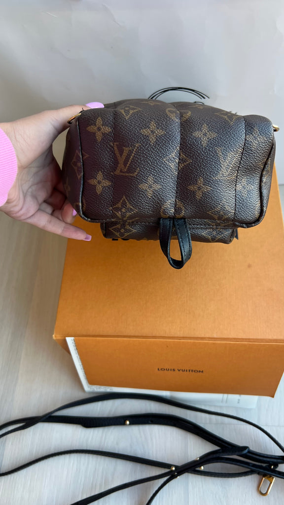 Louis Vuitton Palm Springs Mini Backpack – Beccas Bags