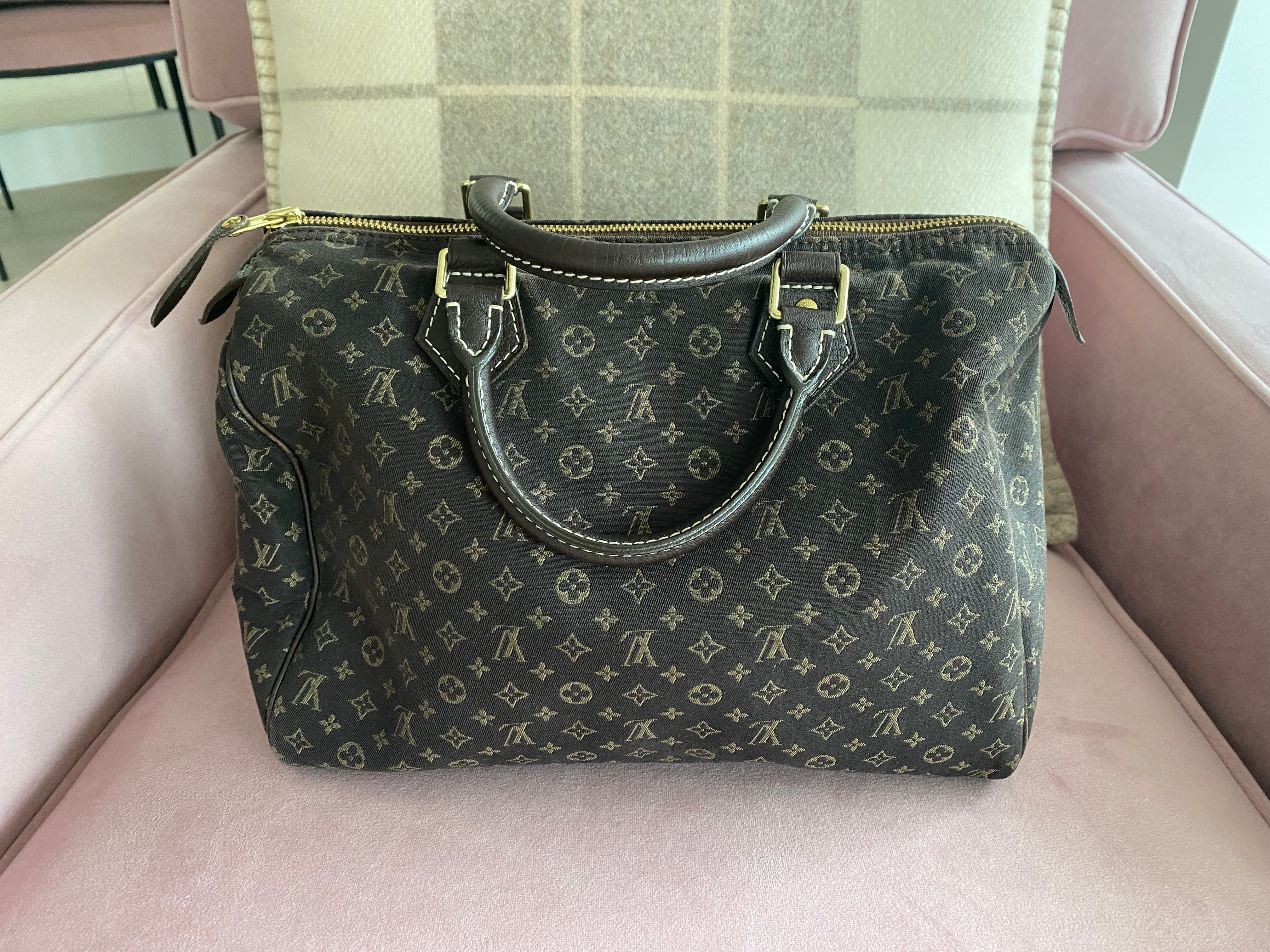 Louis Vuitton Mini Lin Speedy Bag