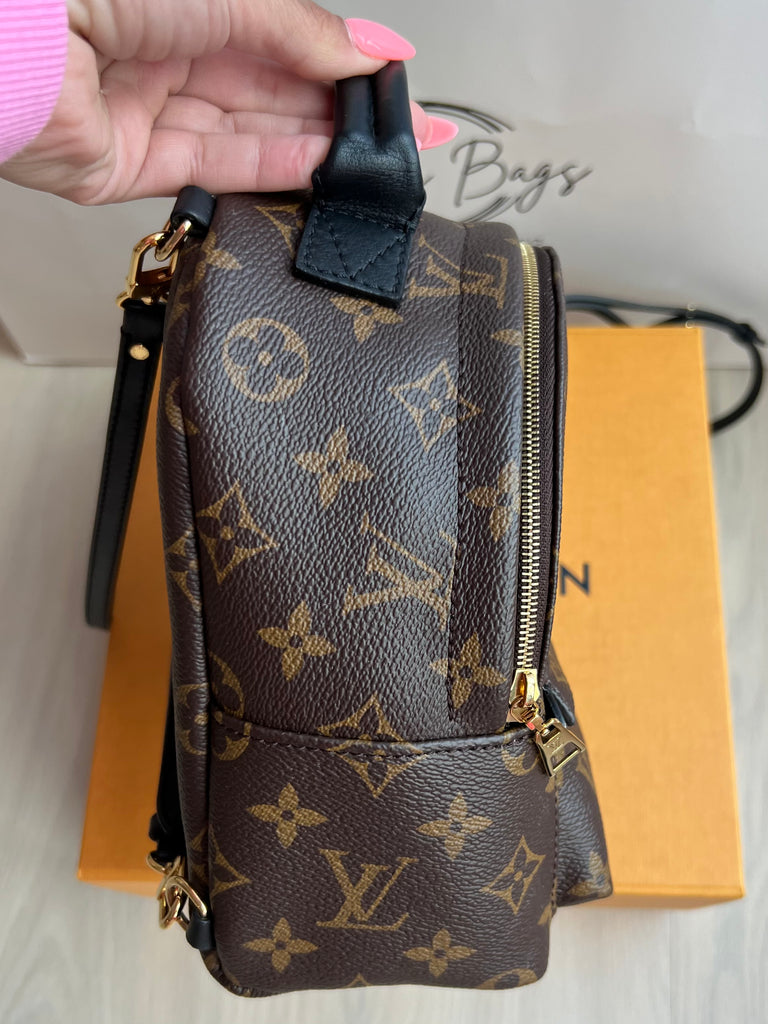 Louis Vuitton Palm Springs mini backpack – Beccas Bags