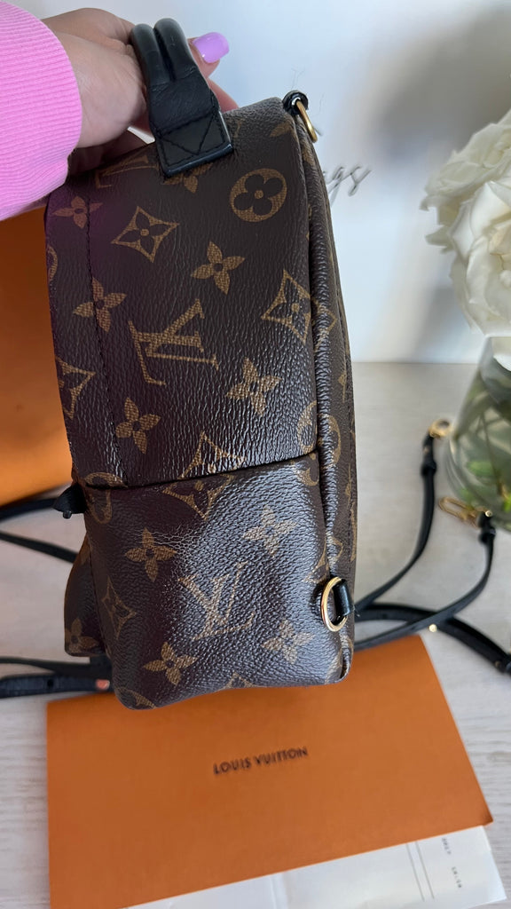 Louis Vuitton Palm Springs backpack mini – Beccas Bags