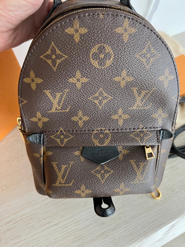 Louis Vuitton Palm Springs backpack mini – Beccas Bags
