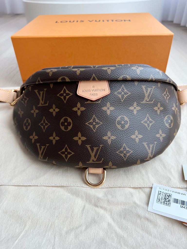 Louis Vuitton Bum Bag Yupoo