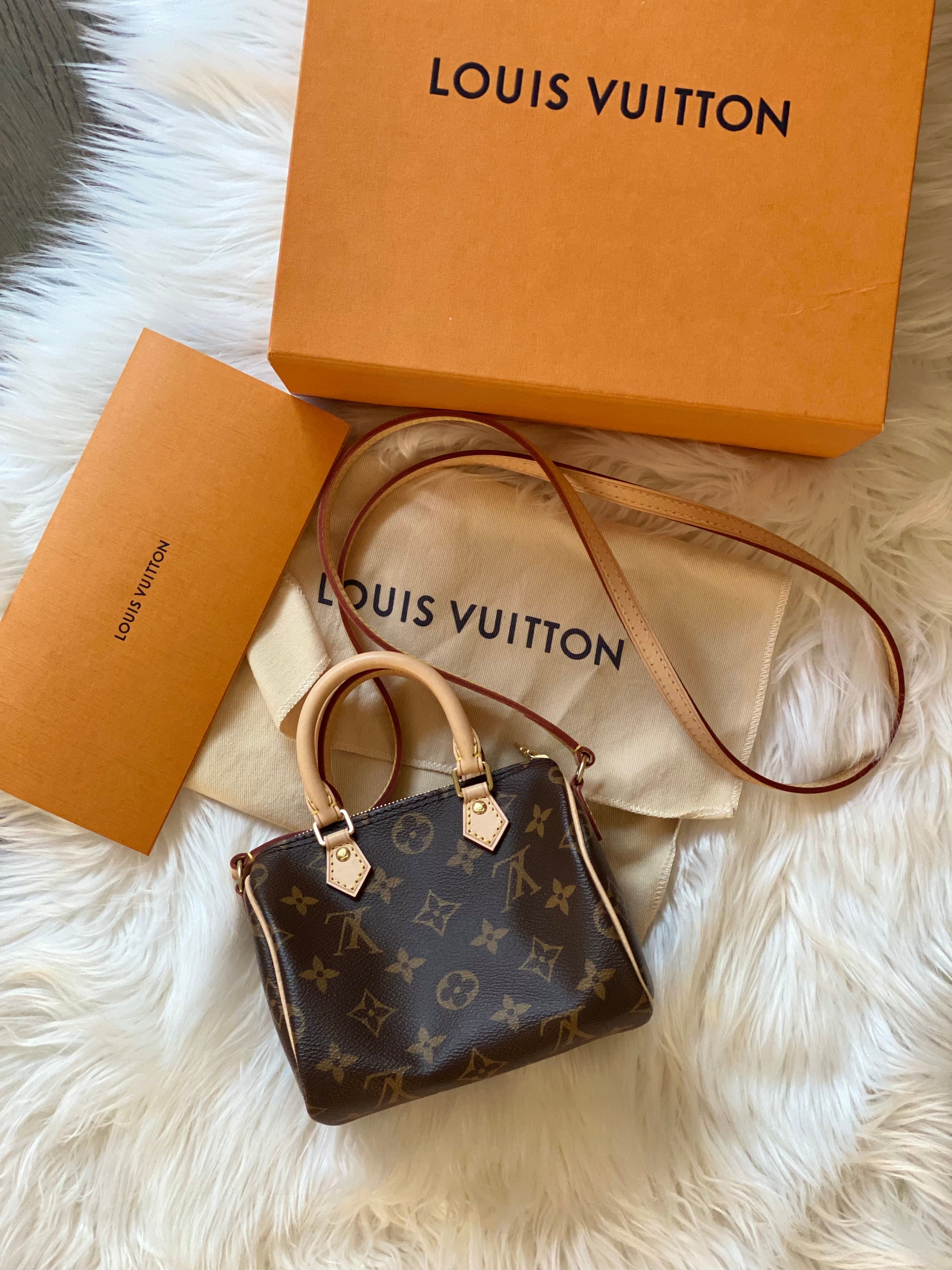 Louis Vuitton speedy nano bag