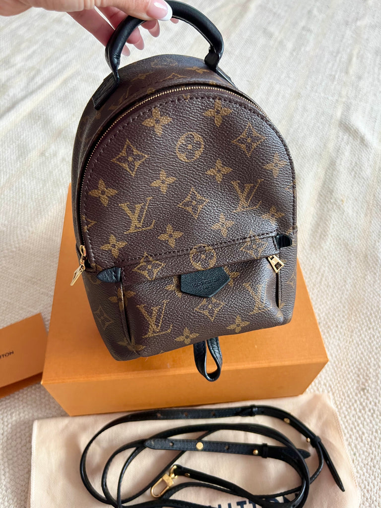 Louis Vuitton Palm Springs mini backpack – Beccas Bags