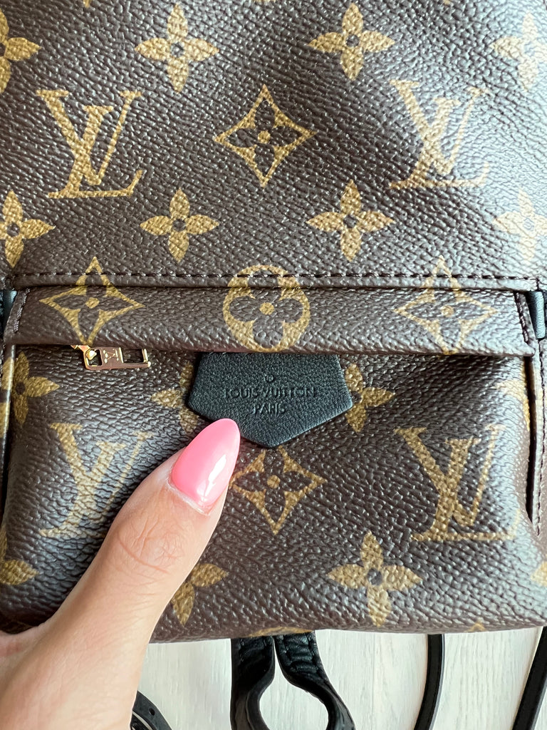 Louis Vuitton Palm Springs mini backpack – Beccas Bags