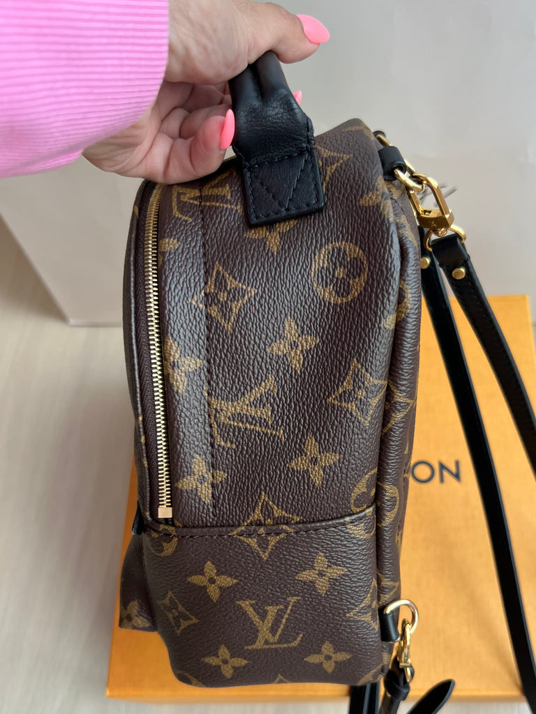 Louis Vuitton Palm Springs mini backpack – Beccas Bags