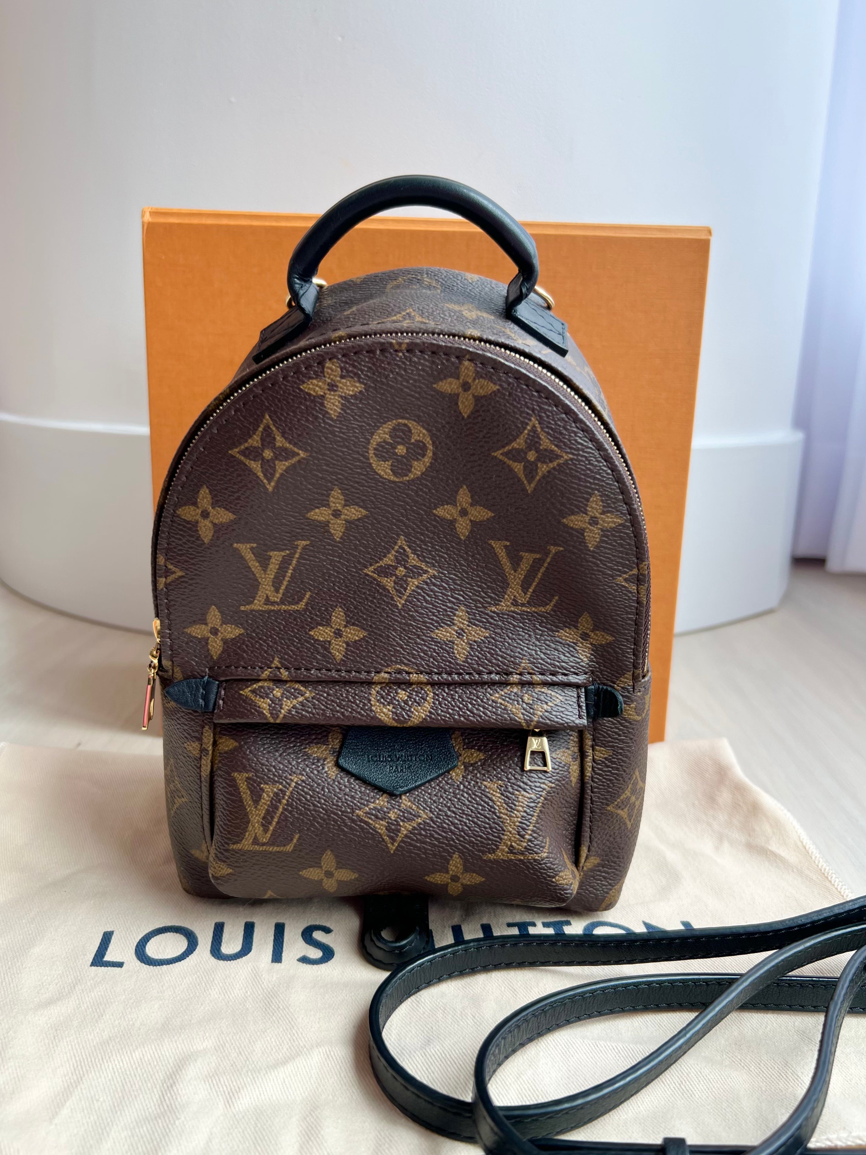 Louis Vuitton Palm Springs mini backpack – Beccas Bags