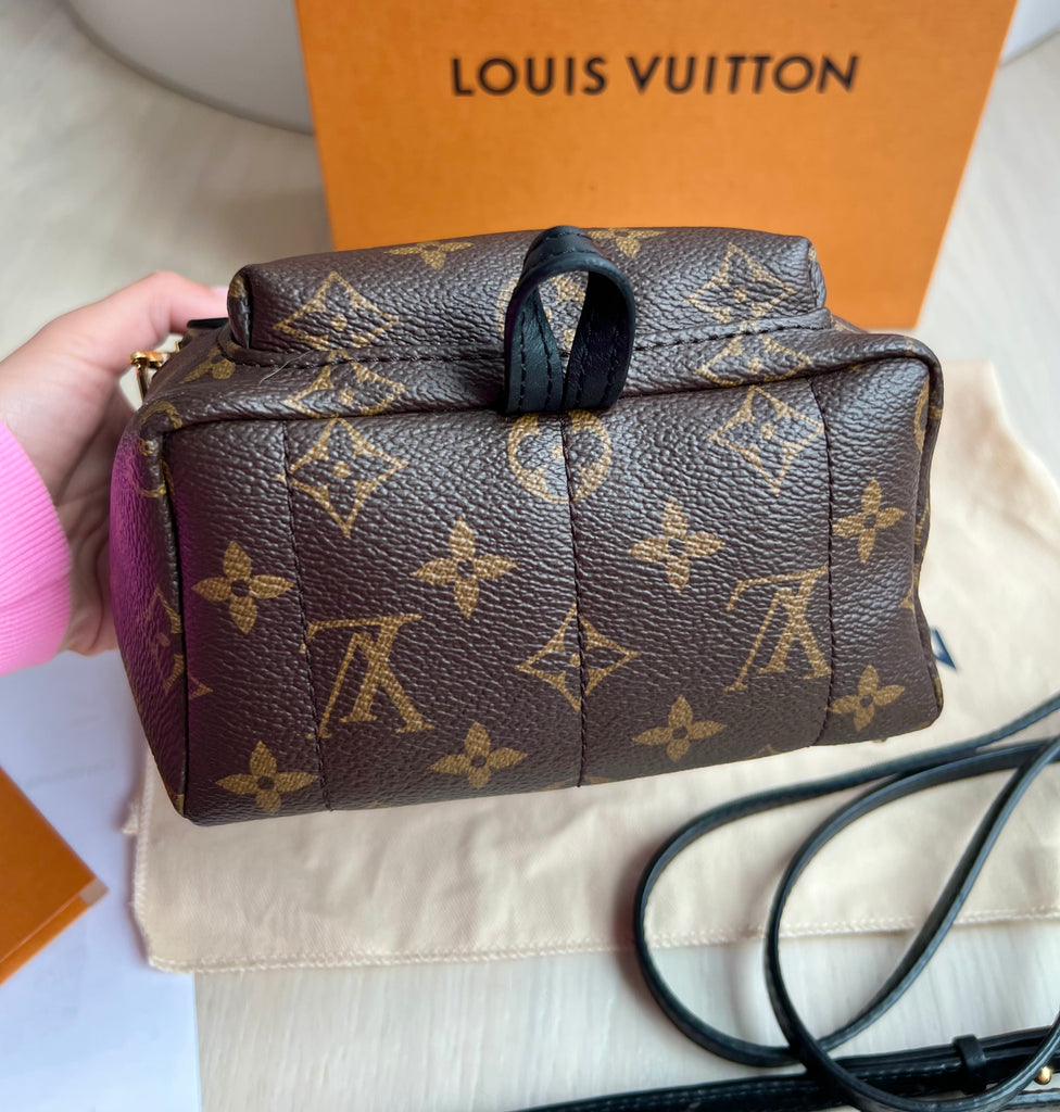 Louis Vuitton Palm Springs Mini Backpack – Beccas Bags