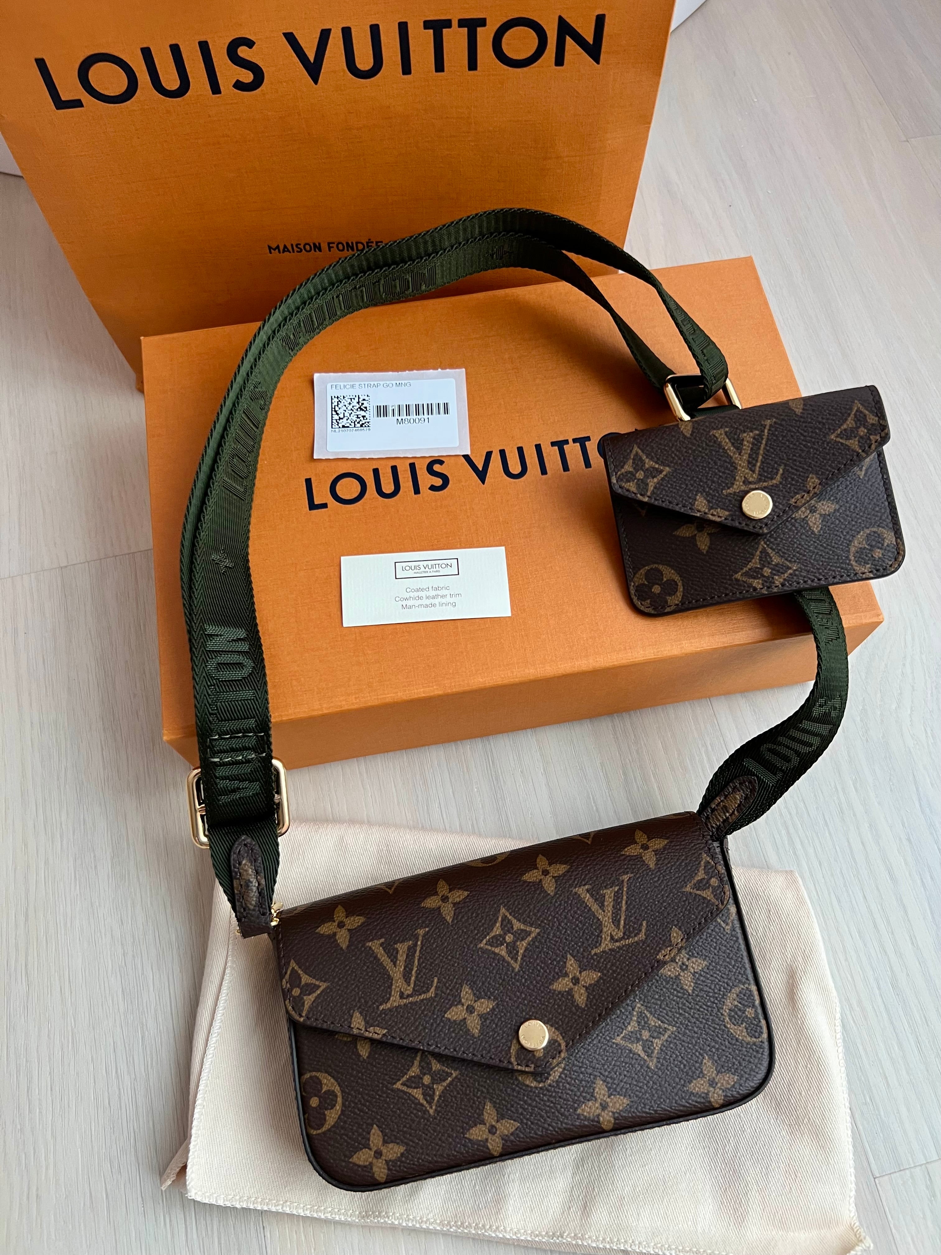 Louis Vuitton F licie Strap & Go